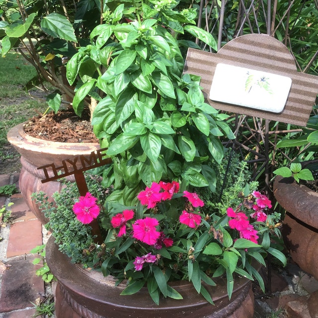 Metal Garden Plant & Herb Marker Stake Powder Coated