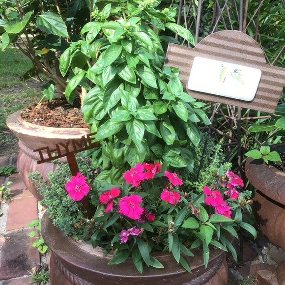 Metal Garden Plant & Herb Marker Stake Powder Coated
