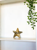 Starfish Metal Wall Art with Powder Coat, 34 Color Options