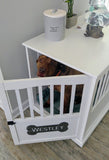 Personalized Metal Dog Bone