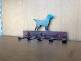 Personalized Five Hook Metal Leash Holder with Paw Prints/ Custom Text and Dog Silhouette, Choose Any Powder Coat Color